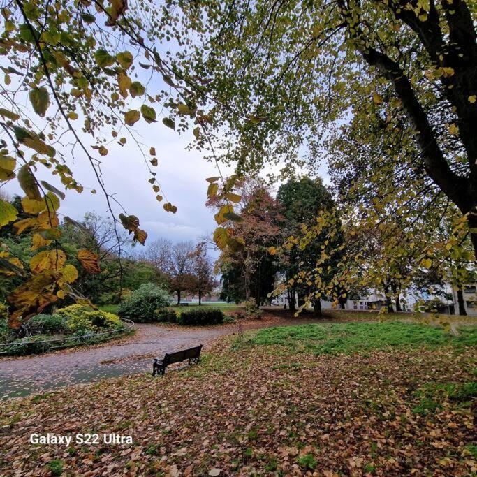 4 Bed Park View House-free Parking - Sleep 8 *
